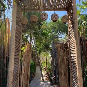 https://chiibal.quintano-roohotels.com
